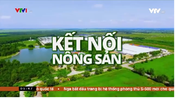 Điểm sáng trong mùa dịch